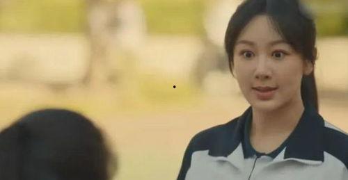 国产高中生,国产高中生风采录